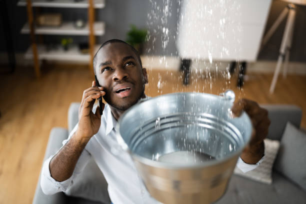 Best Water damage cleanup near me  in Avra Valley, AZ