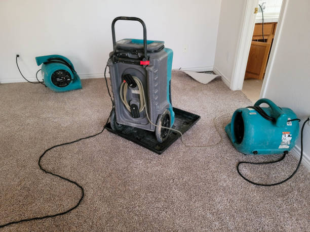 Best Sewage cleanup and water damage restoration  in Avra Valley, AZ