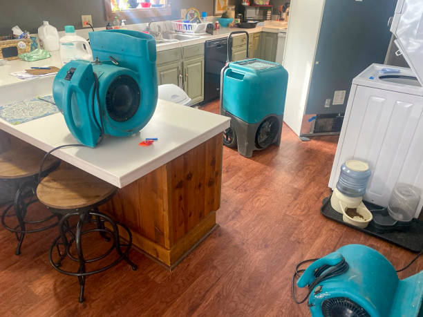 Best Professional water damage repair  in Avra Valley, AZ