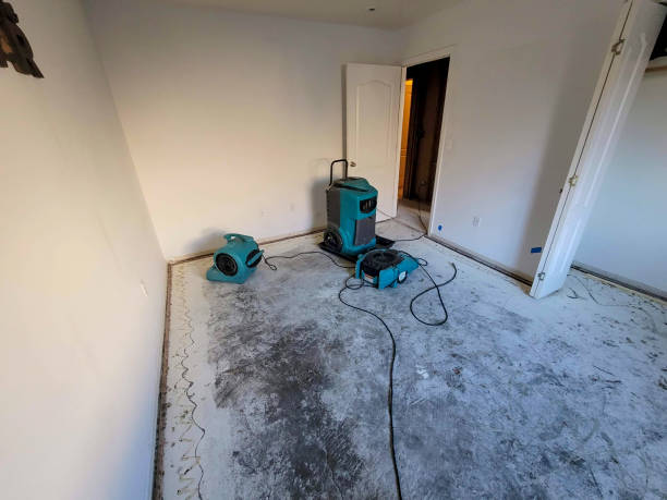 Best Flood restoration services  in Avra Valley, AZ