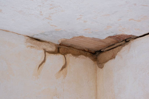Best Water damage contractors near me  in Avra Valley, AZ