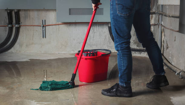 Best Basement water damage restoration  in Avra Valley, AZ