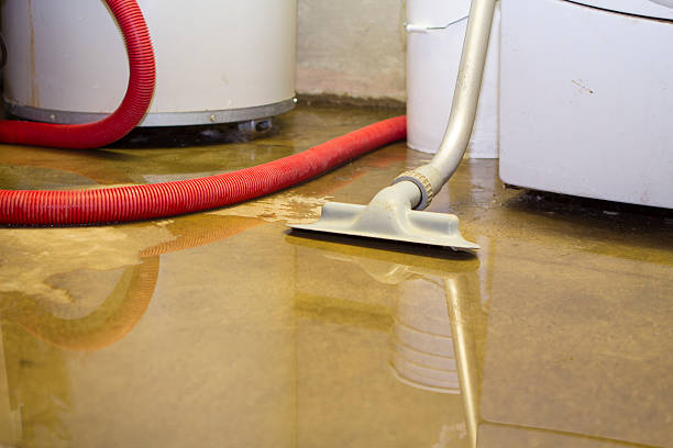  Avra Valley, AZ Water damage restoration Pros