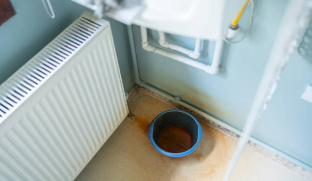 Best Local water damage restoration  in Avra Valley, AZ