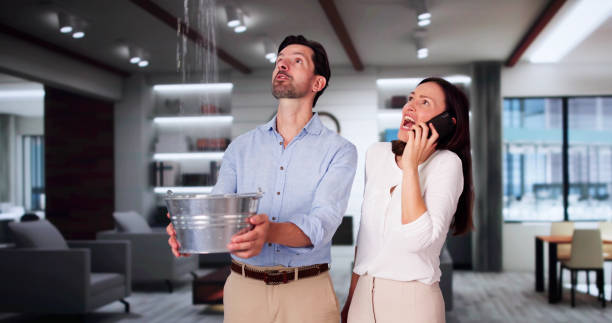 Best Ceiling water damage repair  in Avra Valley, AZ