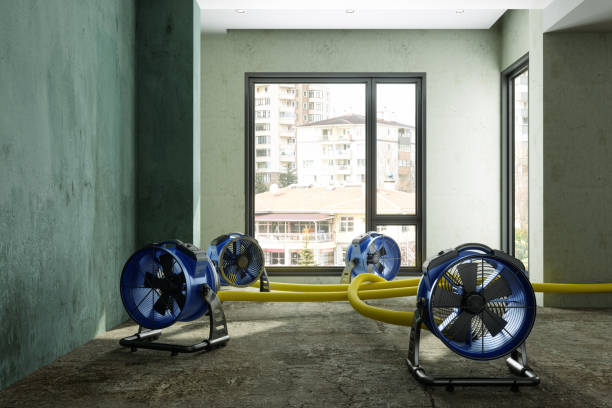 Best Ceiling water damage repair  in Avra Valley, AZ